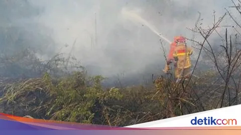 Pemadaman Karhutla Sumsel Didukung Dry Ice dan Helikopter Water Bombing