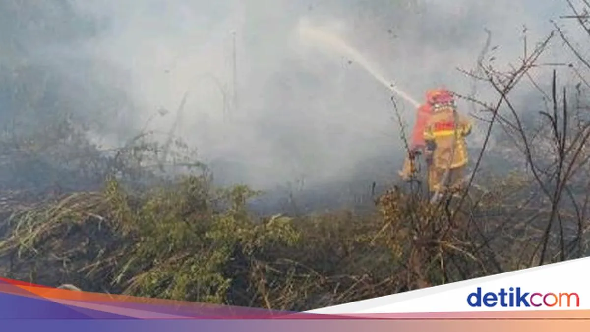 Pemadaman Karhutla Sumsel Didukung Dry Ice dan Helikopter Water Bombing